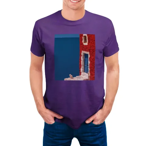 Viola